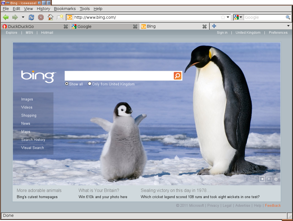 Bing and penguins, how interesting