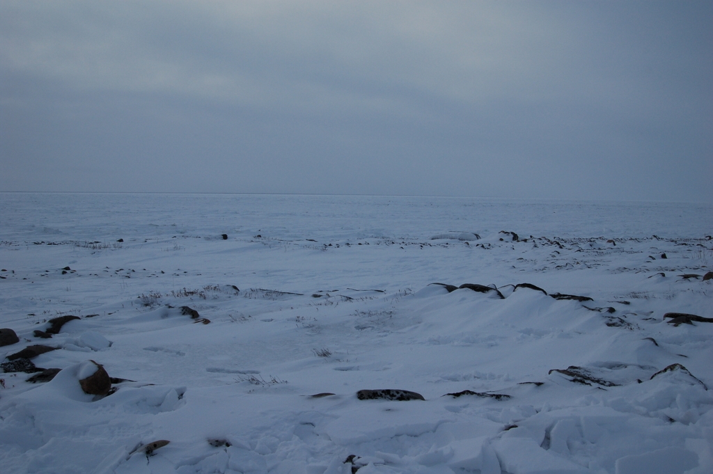 ancient inuit settlement